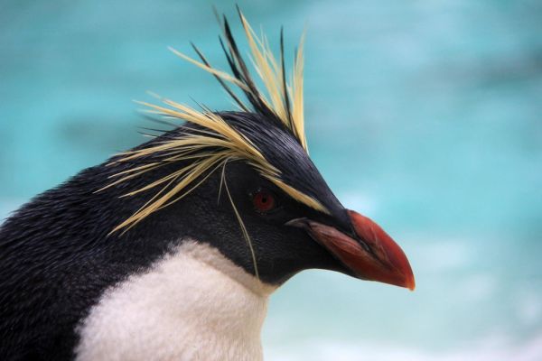 London Zoo 11-03-2013