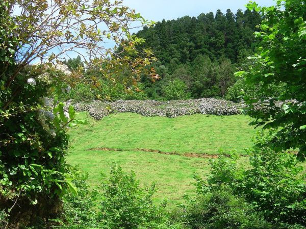 Paisagem entre Caldeiras e Lombadas - Ribeira Grande