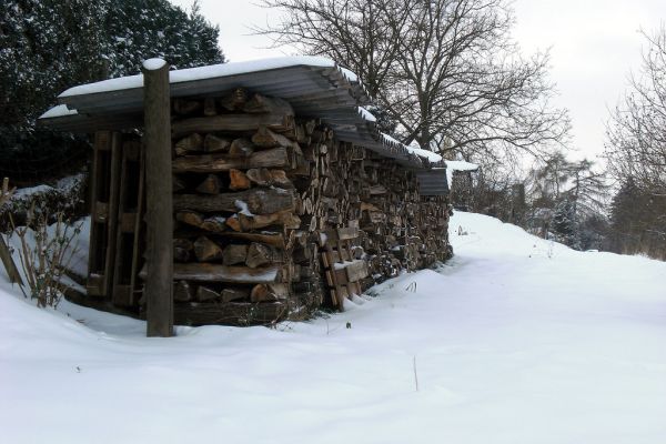 Der Winter wird lang und kalt