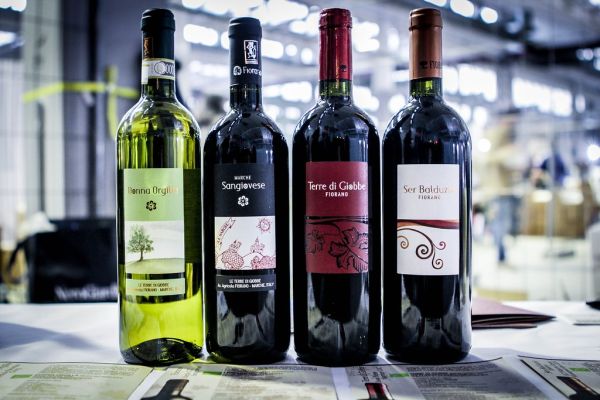GustoNudo 2013 - Vini ed Etichette