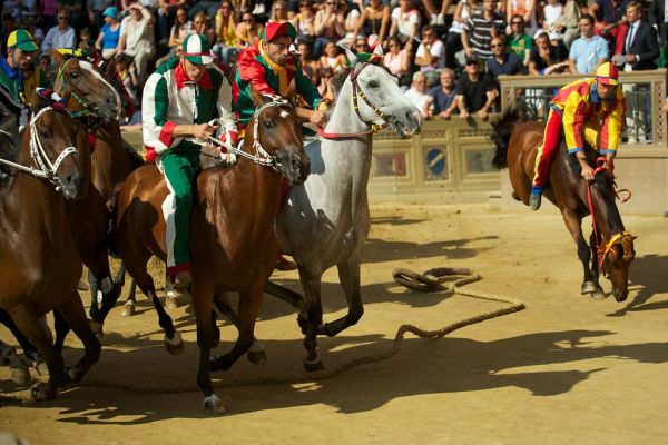 Siena - Palio di Provenzano - Partenza Quarta Prova