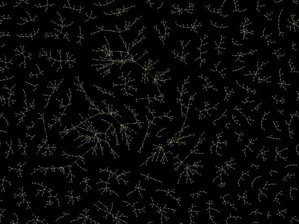 zoom2-nonames