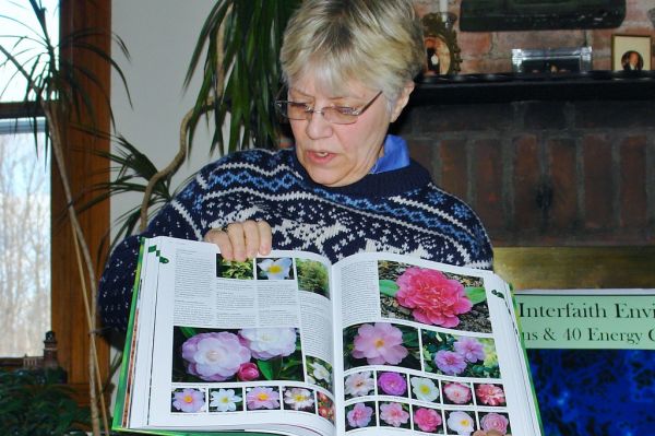 Presentation on importance of native species plants and protecting pollinators by Jan Schultz, U.S. Forest Service Regio