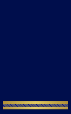 Rank insignia of maresciallo di terza classe of the Italian Air Force
