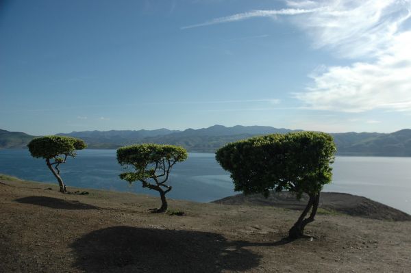 View from the Romero Visitor Center, San Luis water Reservoir, California, USA