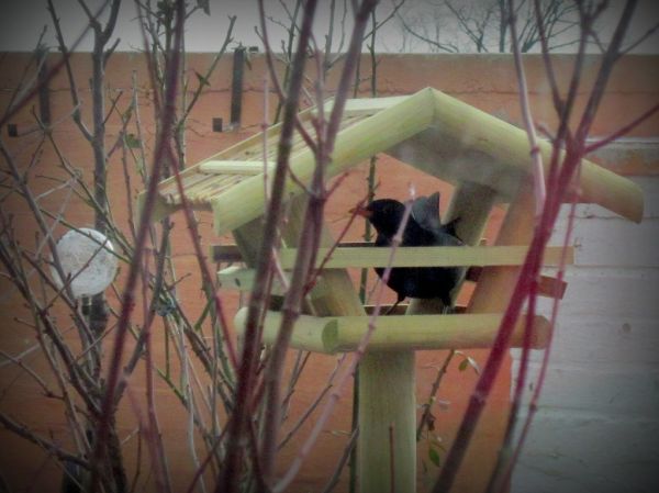 285 hausbesuch