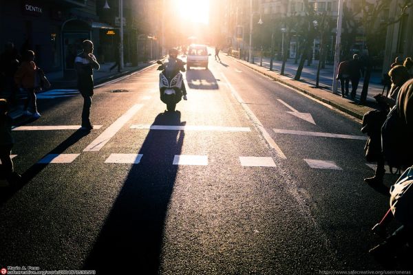 long winter shadow