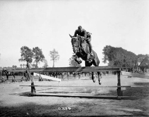 Jumping competition, Canadian Corps Horse Show, Reningelst, Belgium / Concours de saut à cheval dans le cadre du spectac