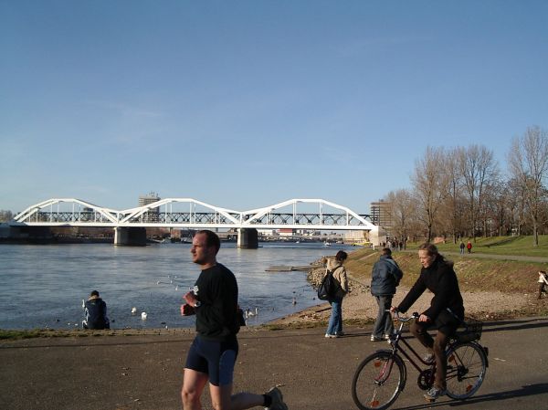 Sportliches Mannheim