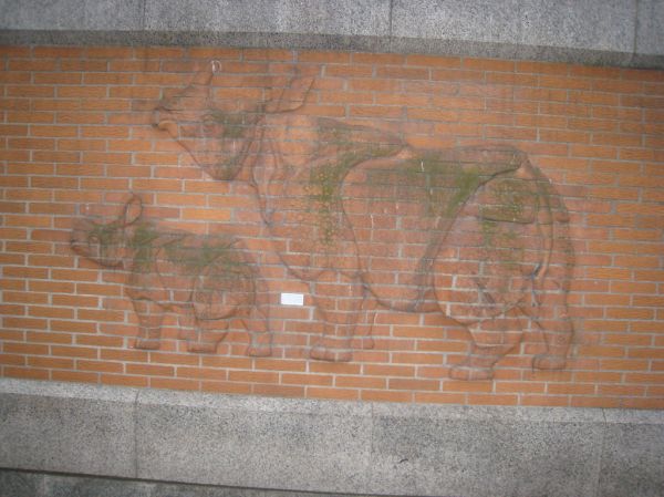 Berlin Zoological Garden Rhinos