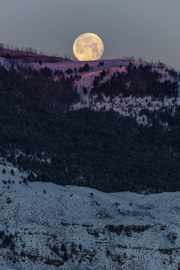 Full moon setting with morning alpenglow
