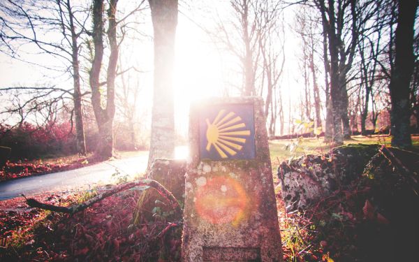Camino de Santiago