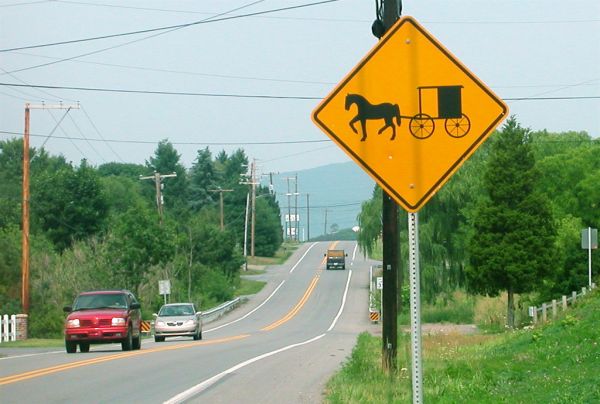buggy sign.JPG