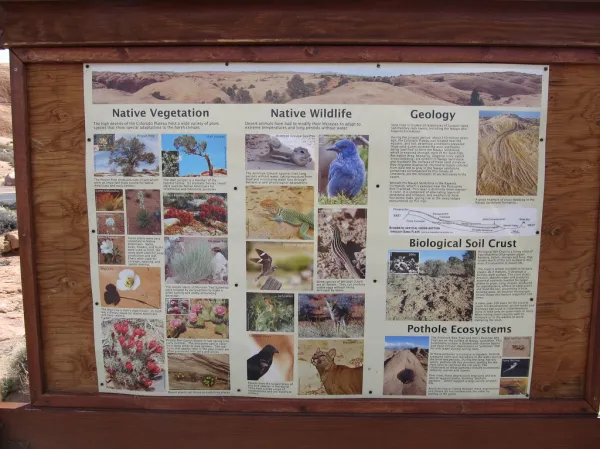 Sand Flats Recreation Area, Moab, Utah, Home of Utah's Slickrock Trail