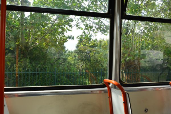 Bucharest - Parcul Tei from tram on Strada Petricani