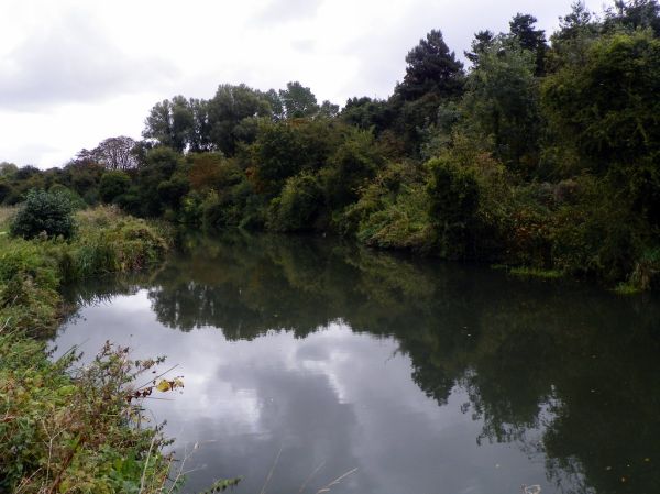 GOC Sawbridgeworth 028: River Stort, Sawbridgeworth