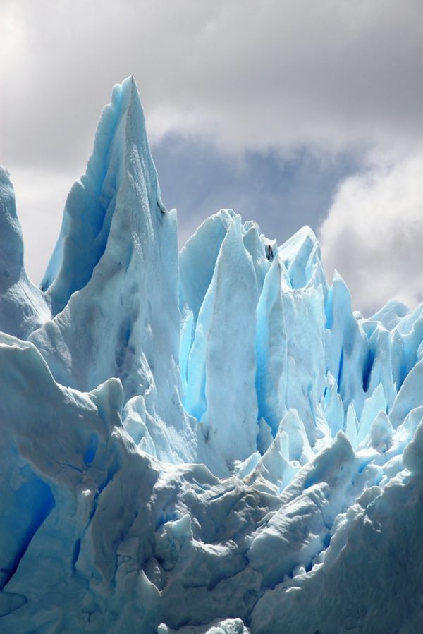 Calafate Perito Moreno 23