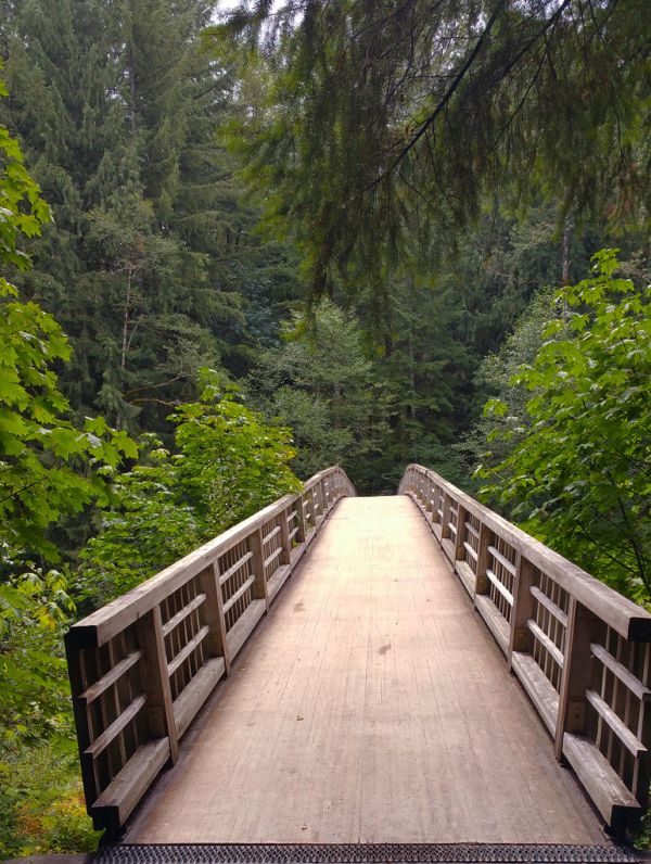 Wildwood Recreation Site