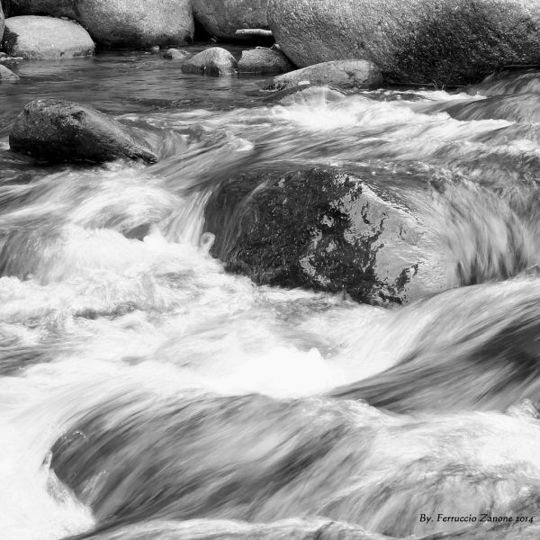 Acqua fonte di vita