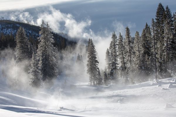 Misty morning along Obsidian Creek