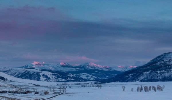 Evening alpenglow in Lamar Valley