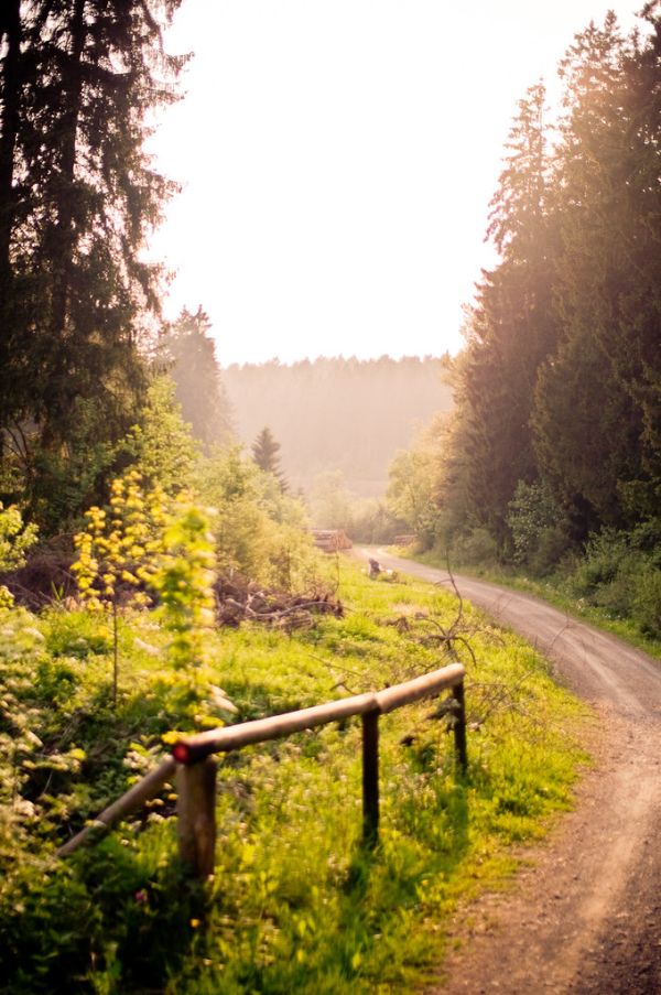 sonnige aussichten