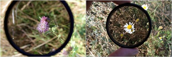 Seen-through-Circular-Polarizing-DSLR Filter_2014-05-09_004904