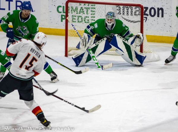 hayden silovs