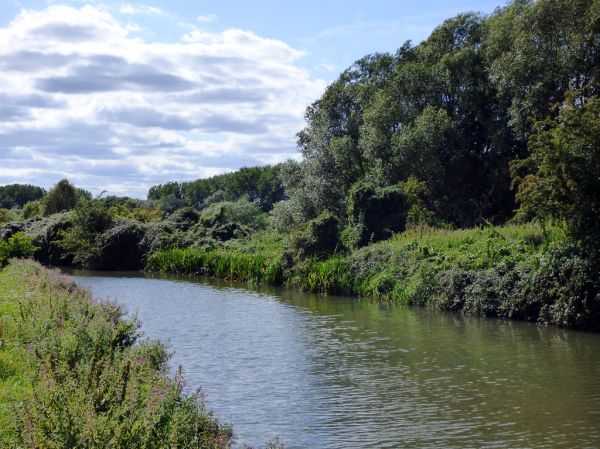 River Stort, Roydon