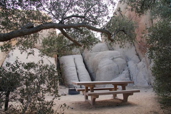 Jumbo Rocks Campground