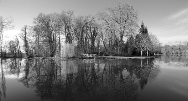 Reflexionen auf dem Großen Weiher