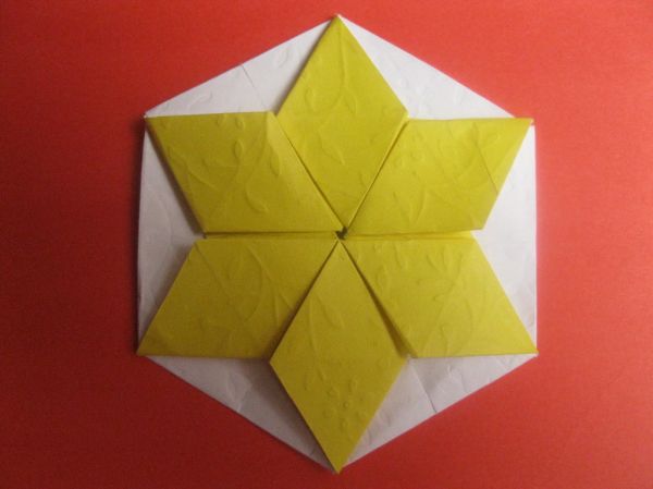 Tereza Corsini's Star Tato