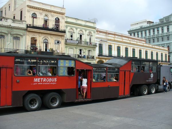 Metrobus (ou 'Camelo')