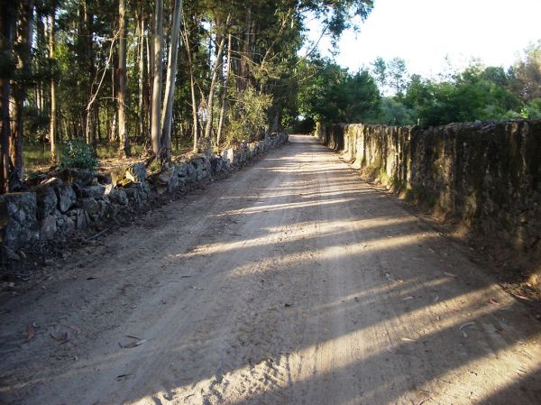MANUTENÇÃO/CAMINHOS FAZENDEIROS