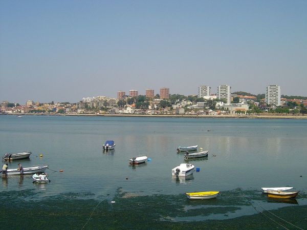 Foz do Douro - Porto e Afurada