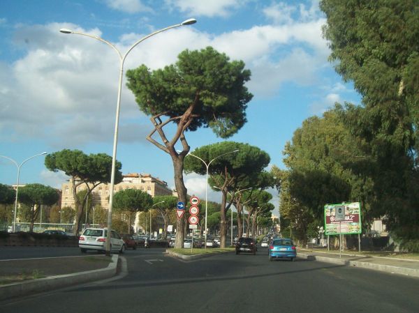 Cristoforo Colombo - Roma