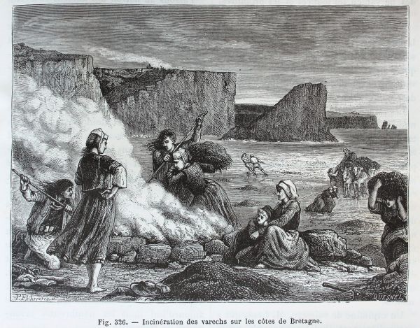 'Incinération des varechs sur les côtes de Bretagne'.