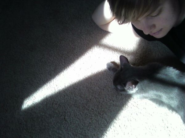 Getting ready for caturday with lint