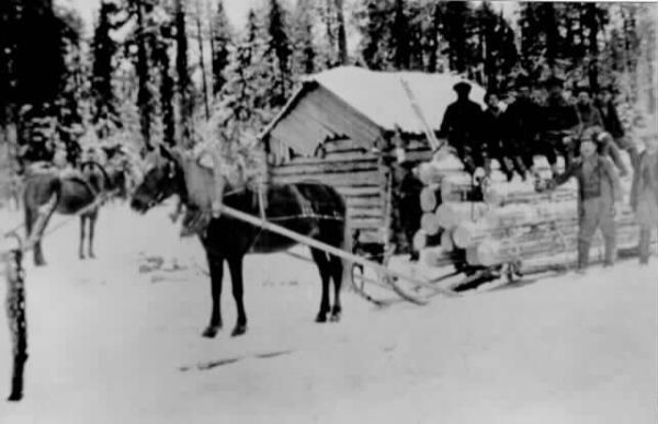 'Iso tukkikuorma Hirvisärkällä v. 1923. Tällaisen kuorman sitominen tukkiköydellä vaatii taitoa, että se pysyy kasassa j