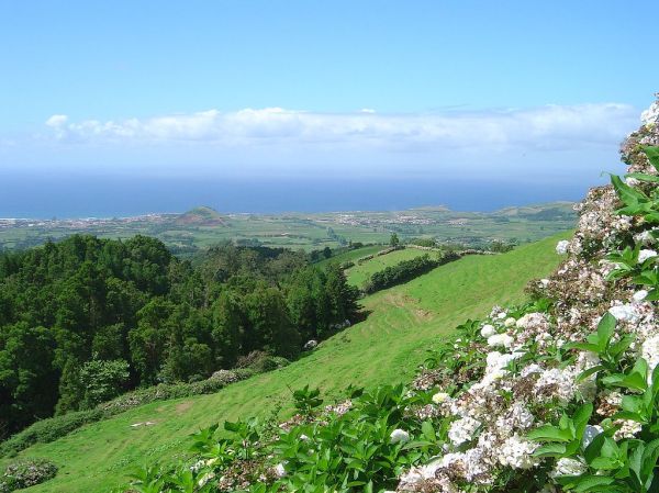 Paisagem entre Caldeiras e Lombadas - Ilha de São Miguel - Portugal