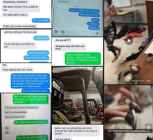 Some widely-spread social media posts after the Parkland Shooting