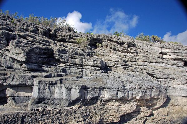 Calcarenitic eolianite (Hanna Bay Member, Rice Bay Formation, Holocene; Graham's Harbour, San Salvador Island, Bahamas) 