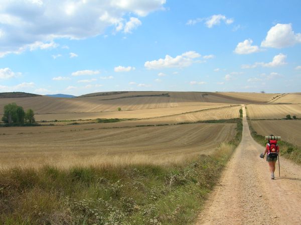 Camino de Santiago
