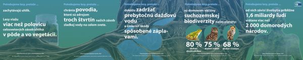 Päť dôvodov, prečo potrebujeme lesy