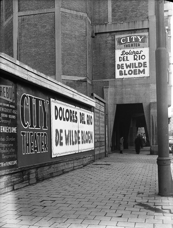 12-03-1947_03418 De wilde bloem