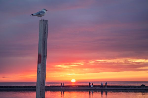 Lake Huron Sunset.