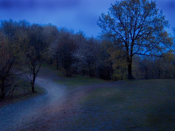 Nessun UFO sul sentiero per il Musinè - Dino Olivieri