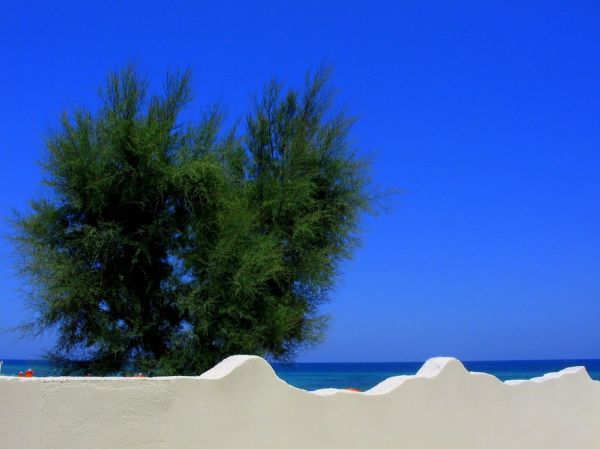 torre canne
