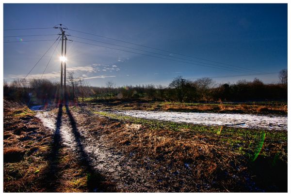 Long Winter Shadows