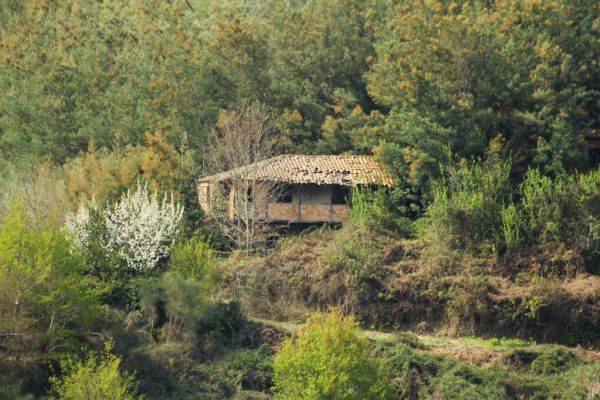Confluencia entre el río Miño y el río Sil, en Los Peares